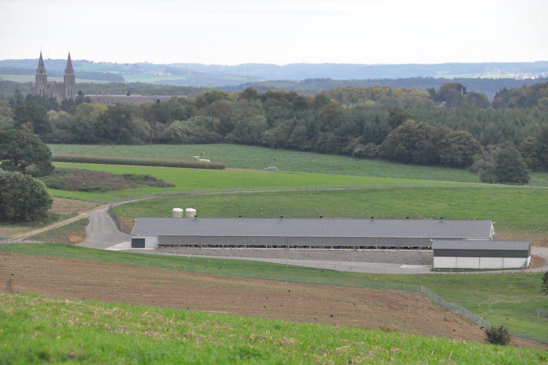 Poulailler industriel ferme Bocart